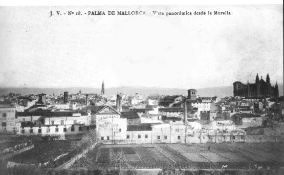 vista palma a bonaire 1910